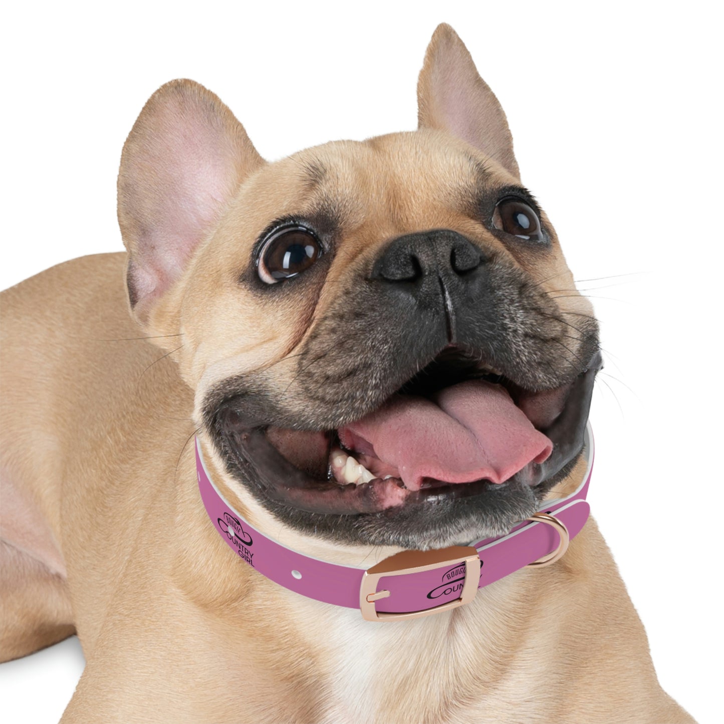 Bougie Country Girl Dog Collar