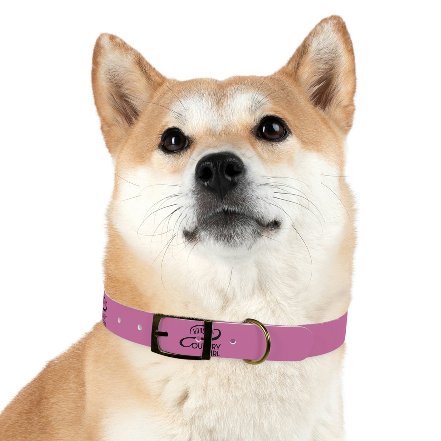 Bougie Country Girl Dog Collar