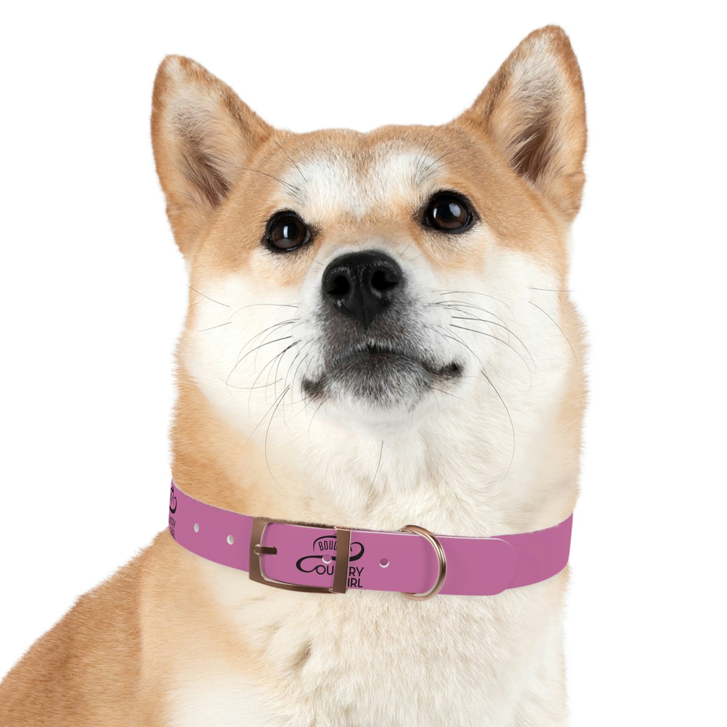 Bougie Country Girl Dog Collar