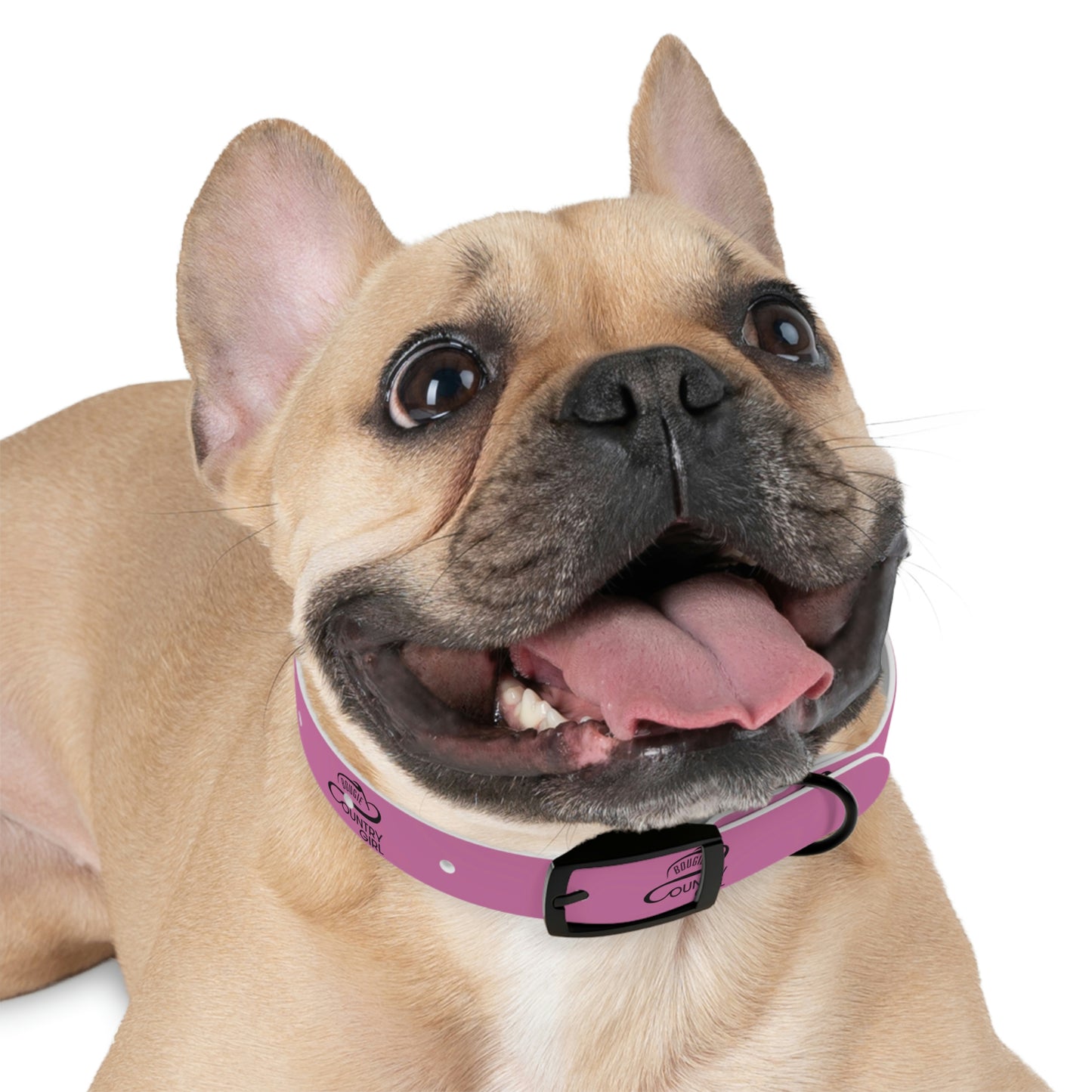 Bougie Country Girl Dog Collar