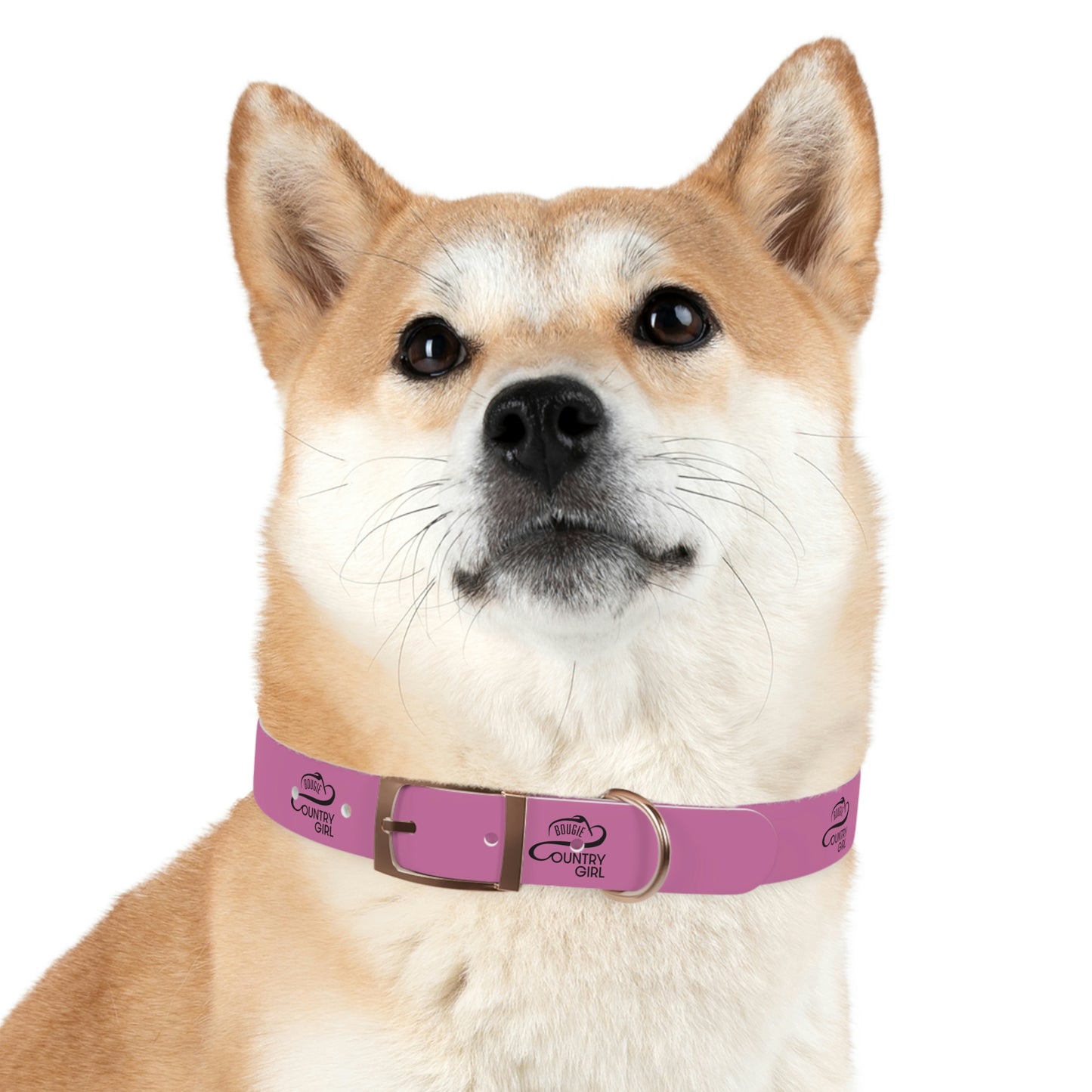 Bougie Country Girl Dog Collar