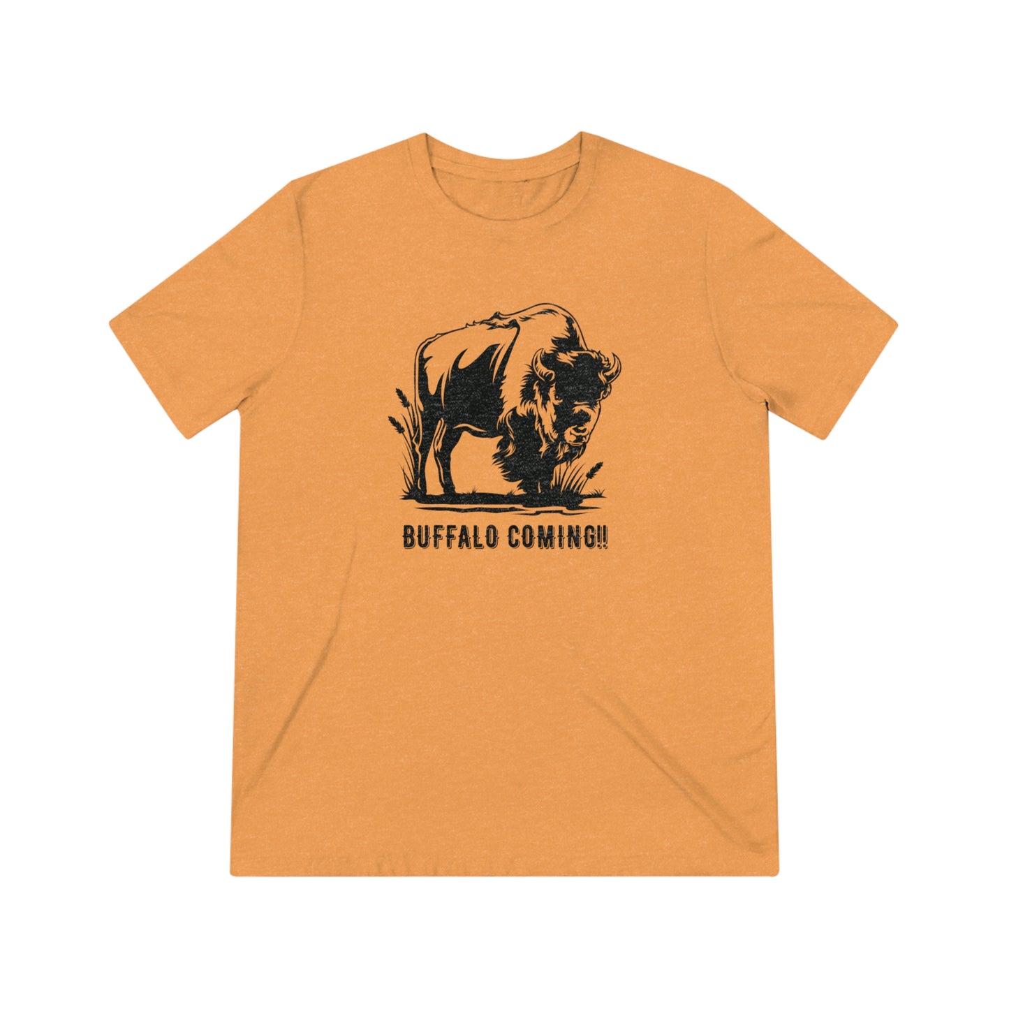 Buffalo Coming!! Triblend Tee