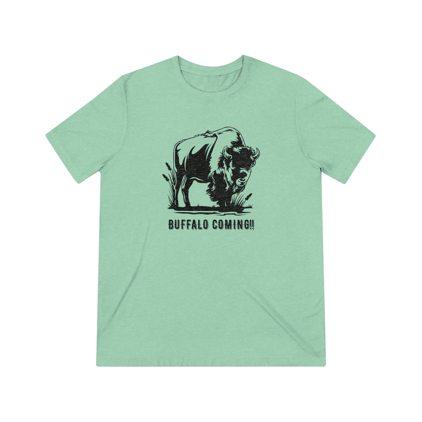 Buffalo Coming!! Triblend Tee